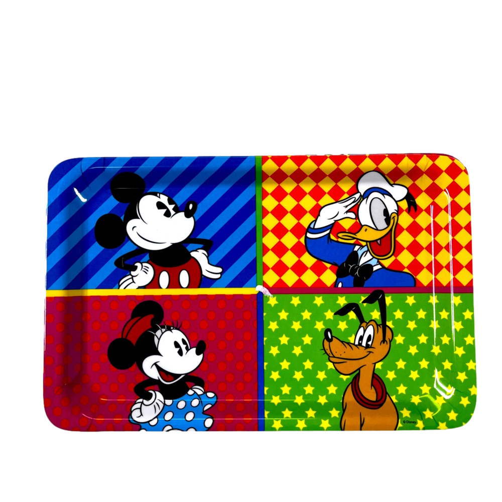 NWT Zara Home Kids Disney Plate